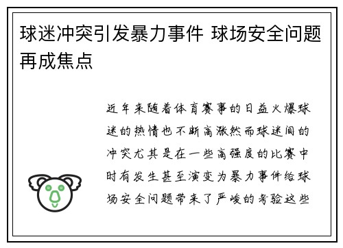 球迷冲突引发暴力事件 球场安全问题再成焦点